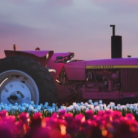 The Inevitability of Masturbation and the Honesty of Sin, Featuring Tractors